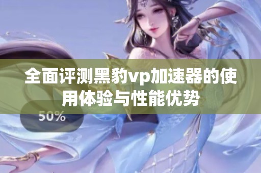 全面评测黑豹vp加速器的使用体验与性能优势