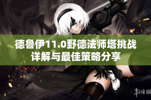 德鲁伊11.0野德法师塔挑战详解与最佳策略分享