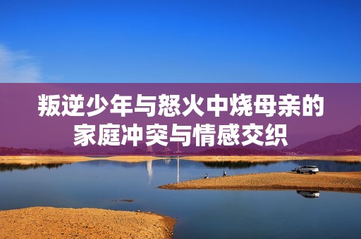叛逆少年与怒火中烧母亲的家庭冲突与情感交织