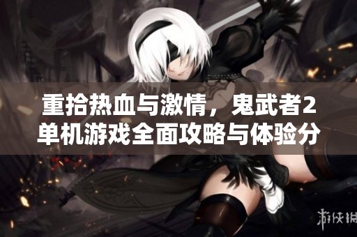 重拾热血与激情，鬼武者2单机游戏全面攻略与体验分享
