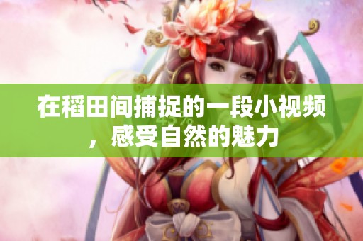 在稻田间捕捉的一段小视频，感受自然的魅力