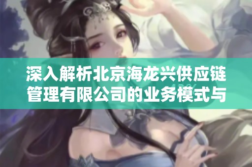 深入解析北京海龙兴供应链管理有限公司的业务模式与发展前景