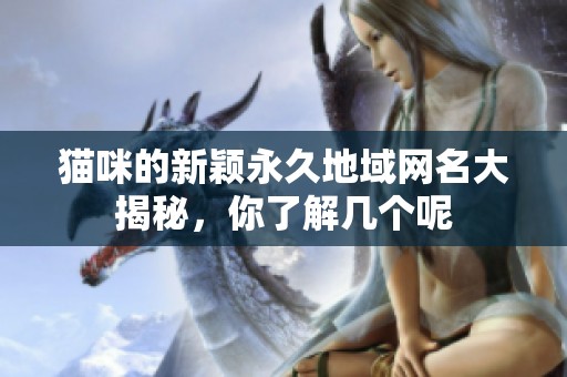 猫咪的新颖永久地域网名大揭秘，你了解几个呢