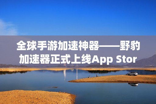 全球手游加速神器——野豹加速器正式上线App Store