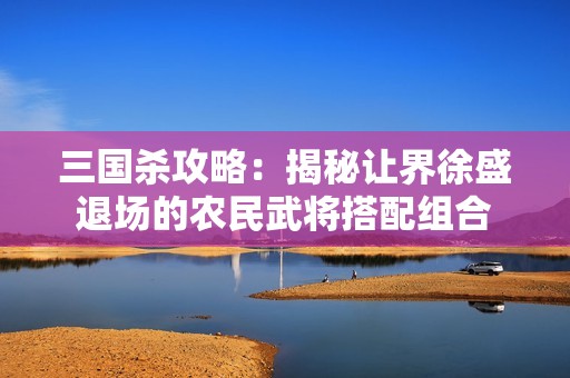 三国杀攻略：揭秘让界徐盛退场的农民武将搭配组合