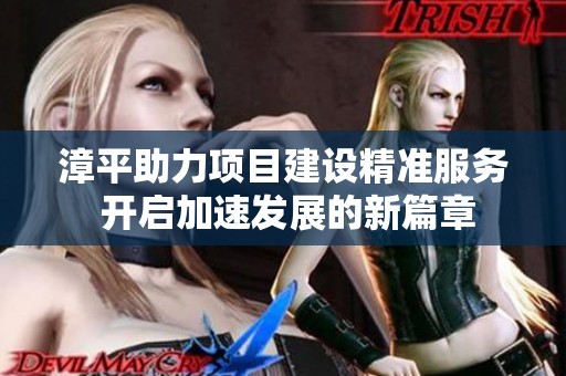漳平助力项目建设精准服务 开启加速发展的新篇章