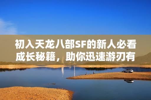 初入天龙八部SF的新人必看成长秘籍，助你迅速游刃有余