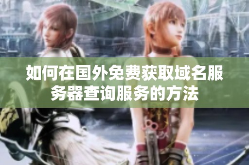 如何在国外免费获取域名服务器查询服务的方法