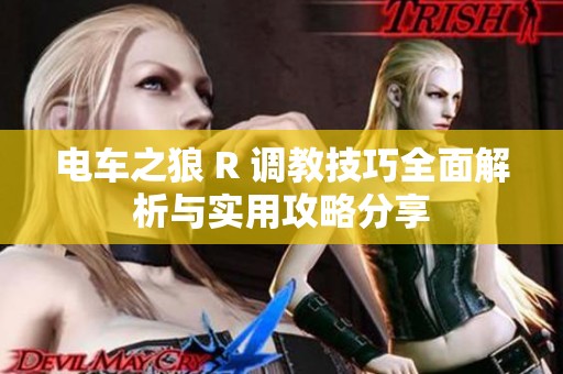 电车之狼 R 调教技巧全面解析与实用攻略分享
