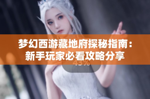 梦幻西游藏地府探秘指南：新手玩家必看攻略分享