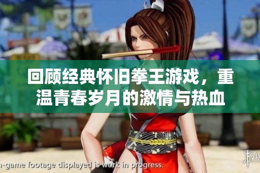 回顾经典怀旧拳王游戏，重温青春岁月的激情与热血