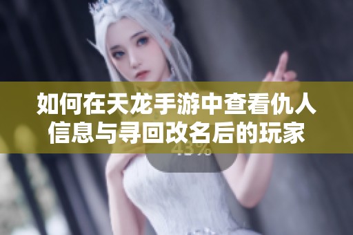 如何在天龙手游中查看仇人信息与寻回改名后的玩家