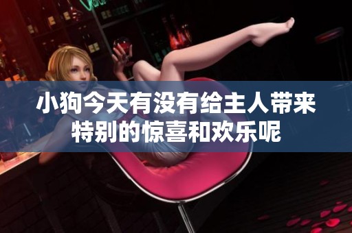 小狗今天有没有给主人带来特别的惊喜和欢乐呢