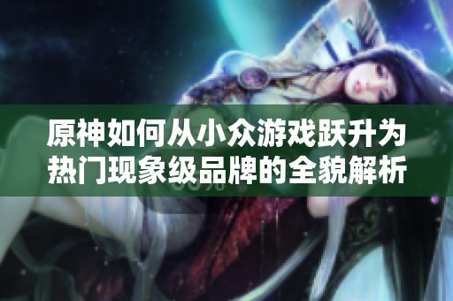 原神如何从小众游戏跃升为热门现象级品牌的全貌解析