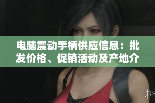 电脑震动手柄供应信息：批发价格、促销活动及产地介绍