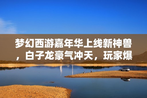 梦幻西游嘉年华上线新神兽，白子龙豪气冲天，玩家爆发神秘操作