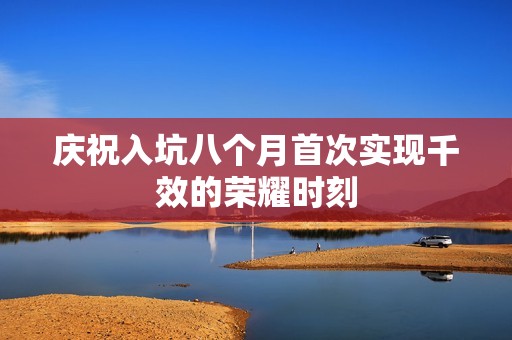 庆祝入坑八个月首次实现千效的荣耀时刻