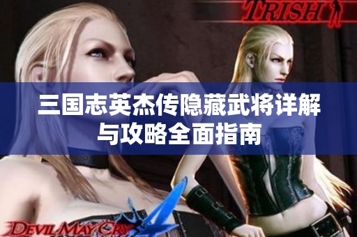 三国志英杰传隐藏武将详解与攻略全面指南