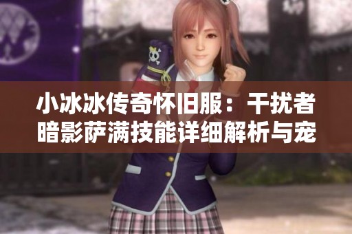 小冰冰传奇怀旧服：干扰者暗影萨满技能详细解析与宠物进化策略