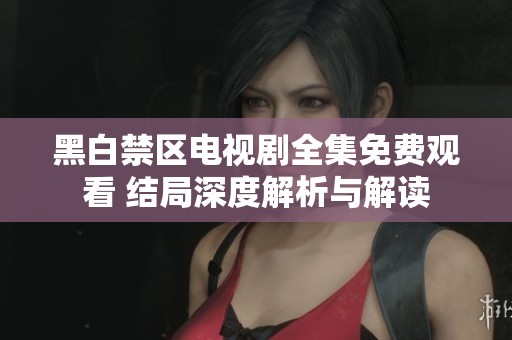 黑白禁区电视剧全集免费观看 结局深度解析与解读