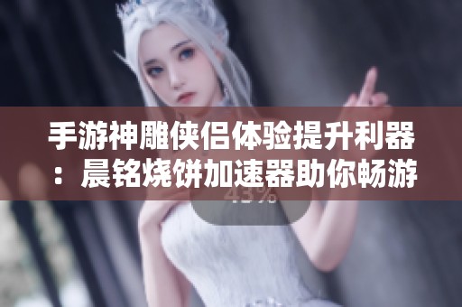 手游神雕侠侣体验提升利器：晨铭烧饼加速器助你畅游江湖