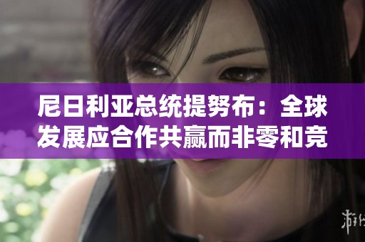 尼日利亚总统提努布：全球发展应合作共赢而非零和竞争