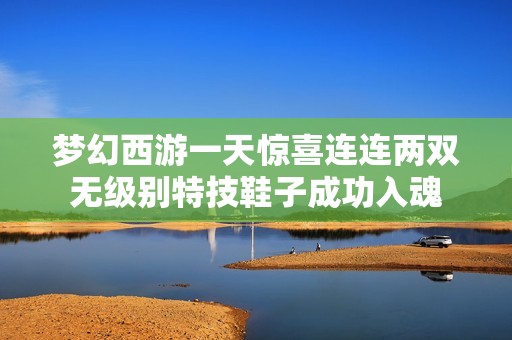 梦幻西游一天惊喜连连两双无级别特技鞋子成功入魂