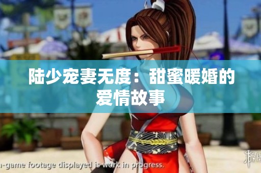 陆少宠妻无度：甜蜜暖婚的爱情故事