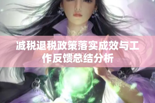 减税退税政策落实成效与工作反馈总结分析