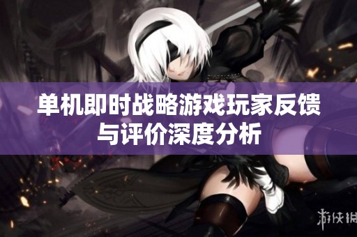 单机即时战略游戏玩家反馈与评价深度分析