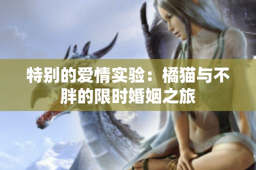 特别的爱情实验：橘猫与不胖的限时婚姻之旅