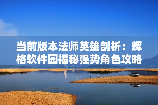 当前版本法师英雄剖析：辉格软件园揭秘强势角色攻略