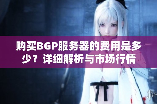 购买BGP服务器的费用是多少？详细解析与市场行情