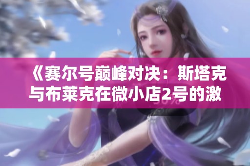 《赛尔号巅峰对决：斯塔克与布莱克在微小店2号的激烈较量》