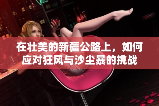 在壮美的新疆公路上，如何应对狂风与沙尘暴的挑战