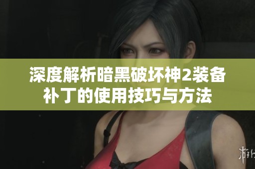 深度解析暗黑破坏神2装备补丁的使用技巧与方法