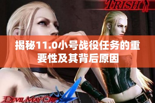揭秘11.0小号战役任务的重要性及其背后原因