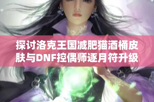探讨洛克王国减肥猫酒桶皮肤与DNF控偶师逐月符升级攻略