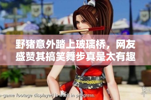 野猪意外踏上玻璃桥，网友盛赞其搞笑舞步真是太有趣了