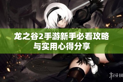 龙之谷2手游新手必看攻略与实用心得分享