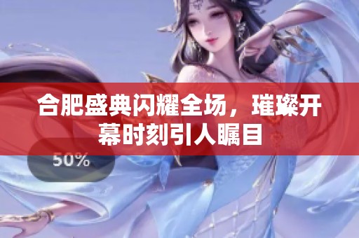 合肥盛典闪耀全场，璀璨开幕时刻引人瞩目