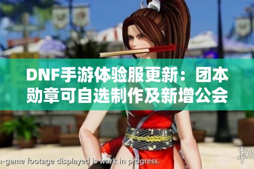 DNF手游体验服更新：团本勋章可自选制作及新增公会勋章详解