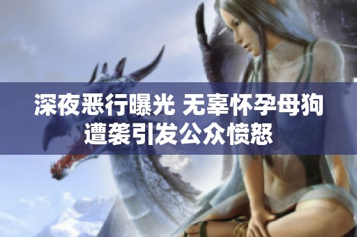 深夜恶行曝光 无辜怀孕母狗遭袭引发公众愤怒