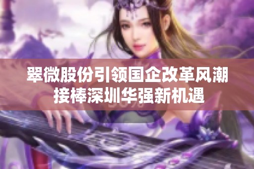 翠微股份引领国企改革风潮 接棒深圳华强新机遇