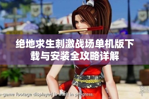 绝地求生刺激战场单机版下载与安装全攻略详解