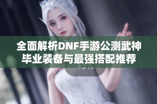 全面解析DNF手游公测武神毕业装备与最强搭配推荐