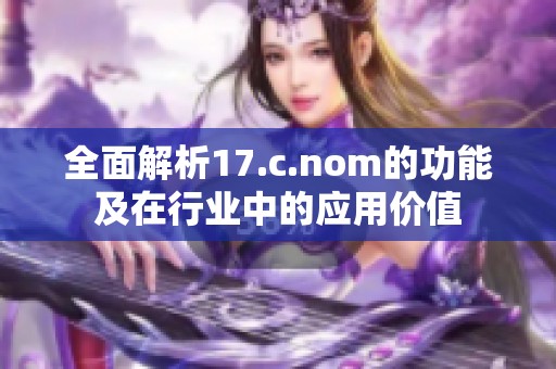 全面解析17.c.nom的功能及在行业中的应用价值