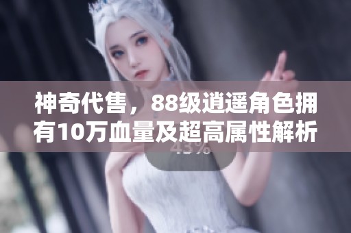 神奇代售，88级逍遥角色拥有10万血量及超高属性解析