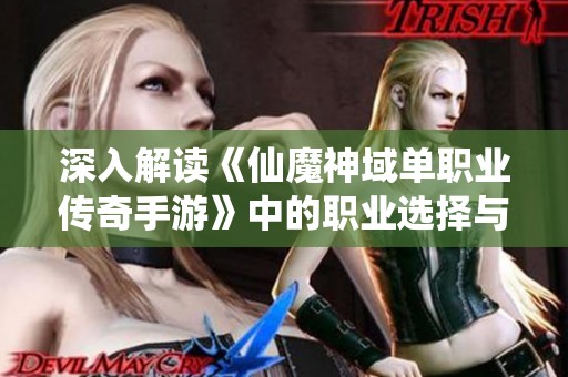 深入解读《仙魔神域单职业传奇手游》中的职业选择与最佳游戏攻略