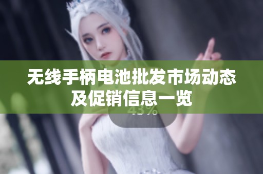 无线手柄电池批发市场动态及促销信息一览